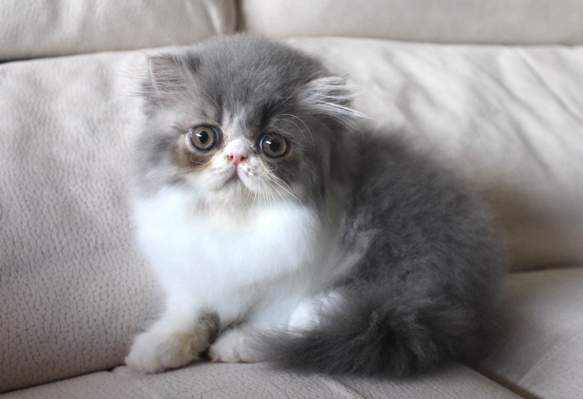 Sguardi Dolci Love me tender 